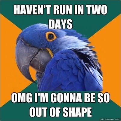 Runner Bird Fitness Meme